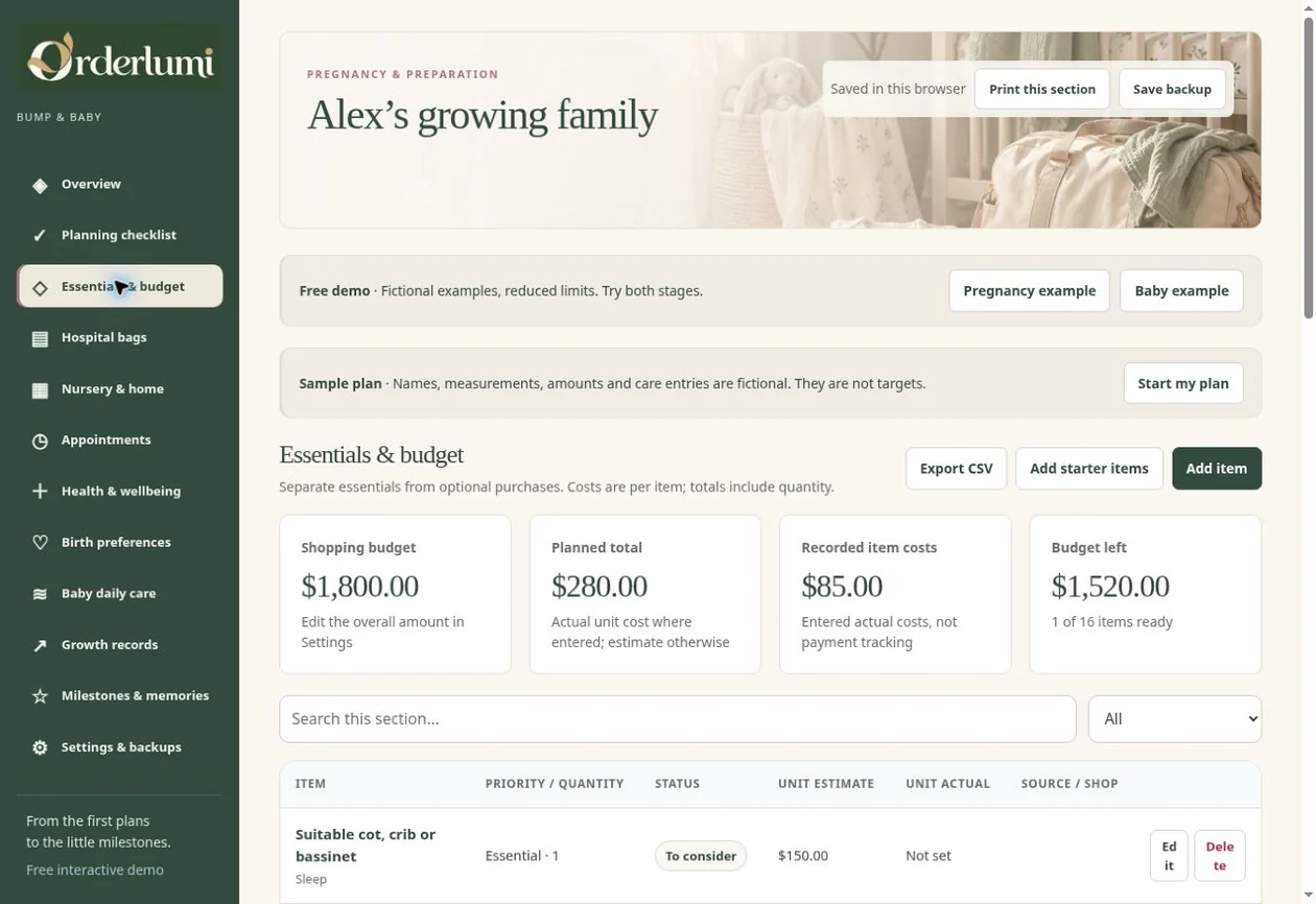 Actual Pregnancy & Baby Planner application screen — Everyday records